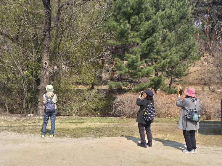 a8709fbf4f26f512beba8c3e13f399d2_1773999