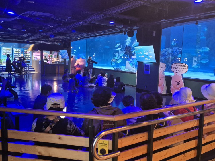 f64647d29a803304a309f19e93118279_1780062